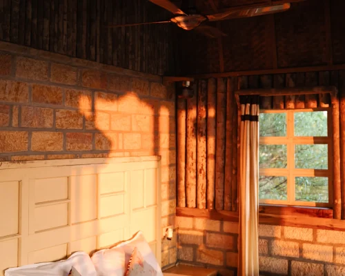 R11 Shylluit__-_AHS06559.jpg