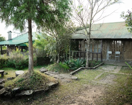 R8 Kynphor_-_AHS06446.jpg