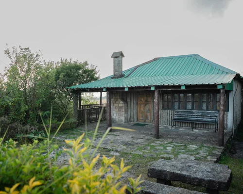 R9 Pyriam_-_AHS06453.jpg