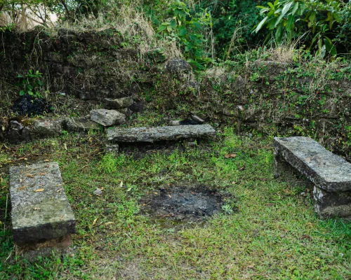 R9 Pyriam_-_AHS06456.jpg