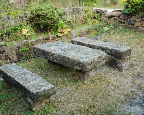 R9 Pyriam_-_AHS06459.jpg