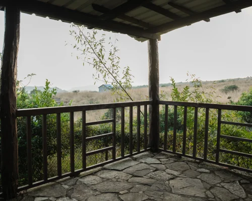 R9 Pyriam_-_AHS06481.jpg